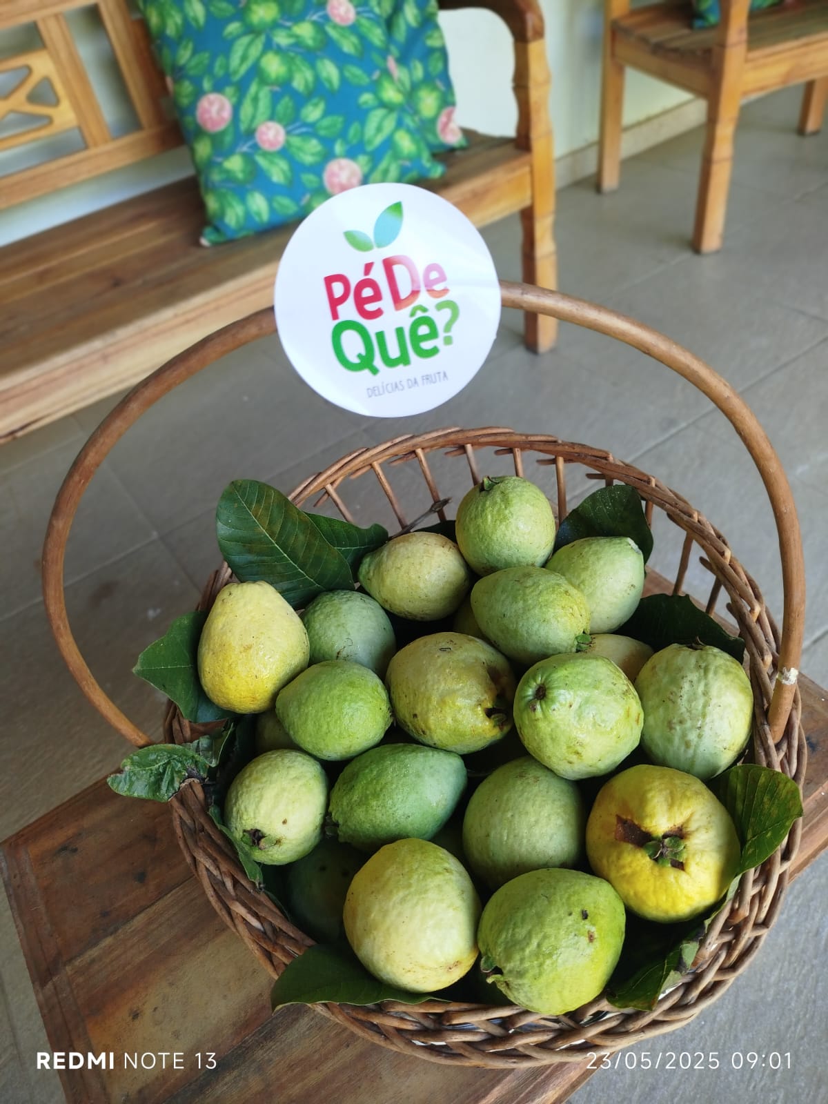 PHOTO-2025-11-05-16-37-59