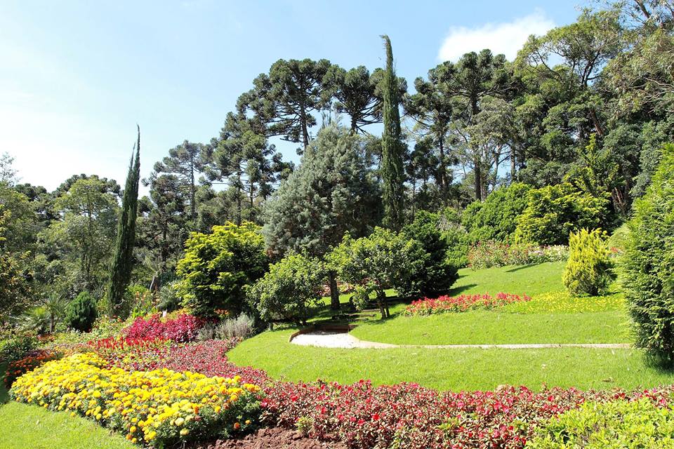 sp_criancas_jardim-dos-pinhais_4